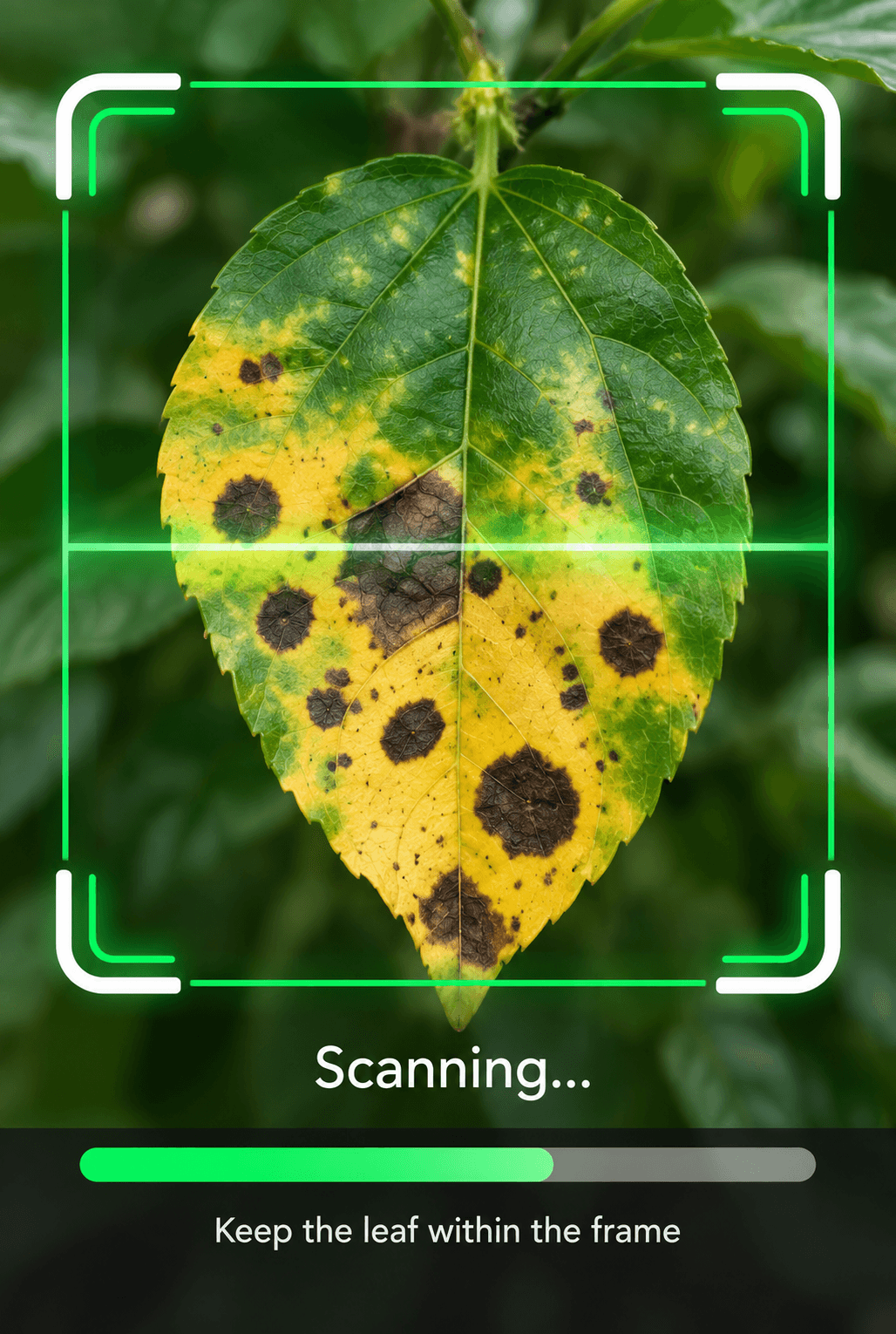 AI Plant Doctor